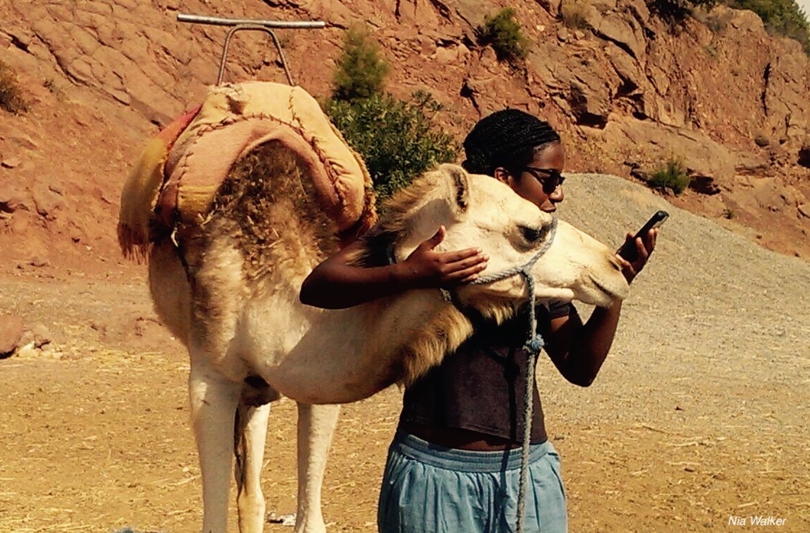 Morocco Camels and Cell Phones